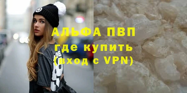 крисы Алексин