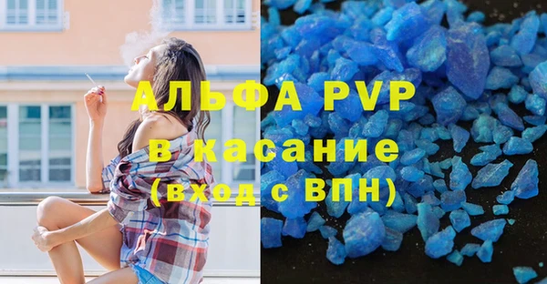 крисы Алексин