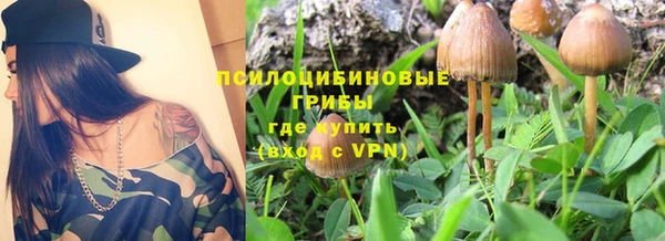 таблы Алексеевка