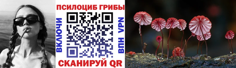 купить   Новая Ляля  KRAKEN маркетплейс  Галлюциногенные грибы Psilocybine cubensis 